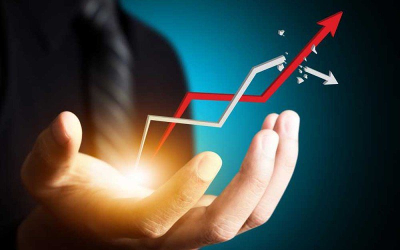 Website & App Development